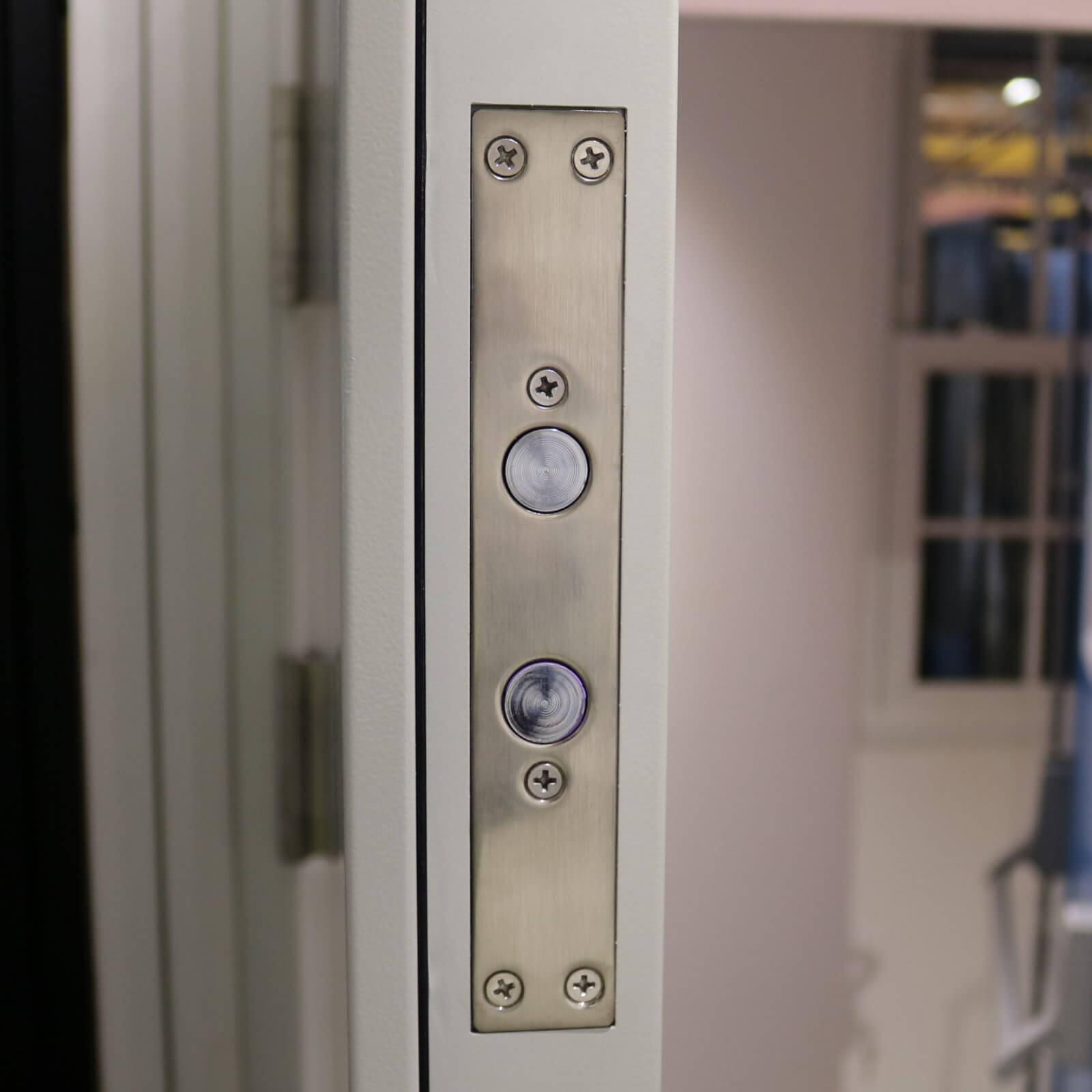 High Security Panel Steel Door Latham S Steel Security Doors